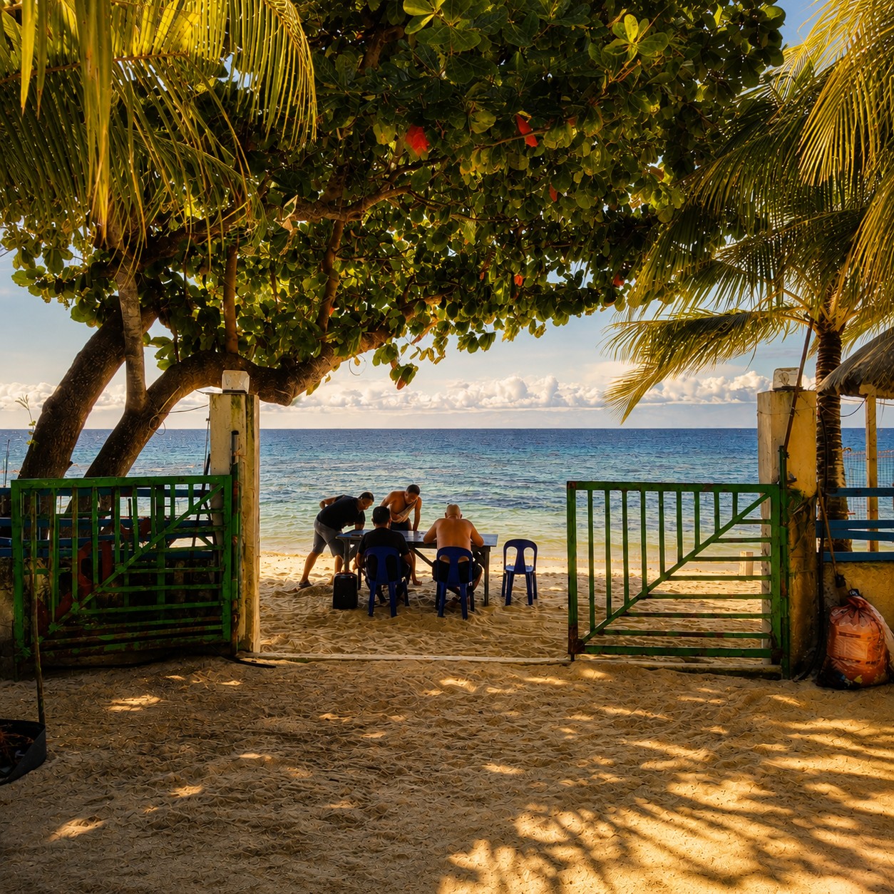 Beach view